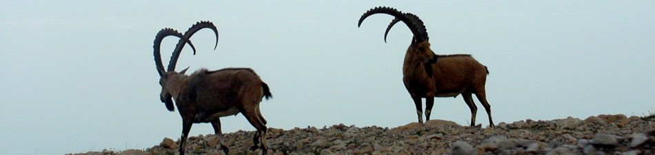 Irith and Roger's Travel Blog Rotating Header Image