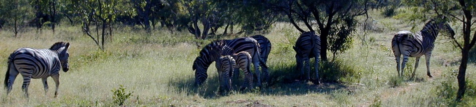 Irith and Roger's Travel Blog Rotating Header Image