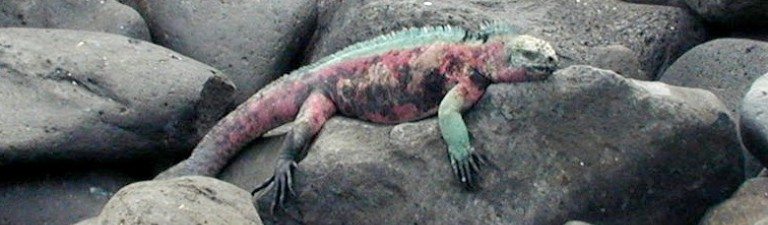 Irith and Roger's Travel Blog Rotating Header Image